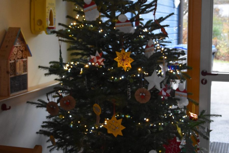 Weihnachten - Weihnachtsbaum