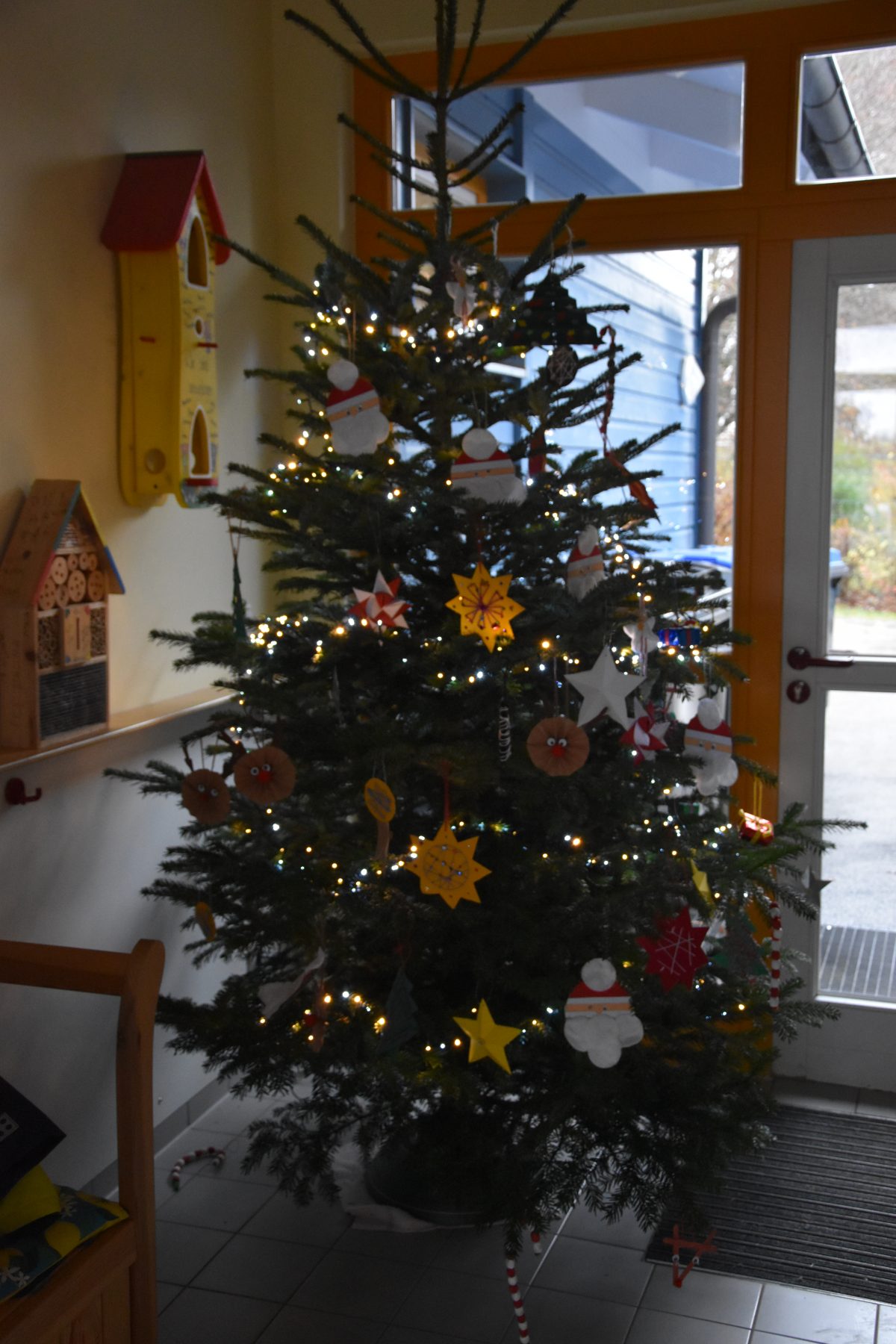 Oh Tannenbaum!