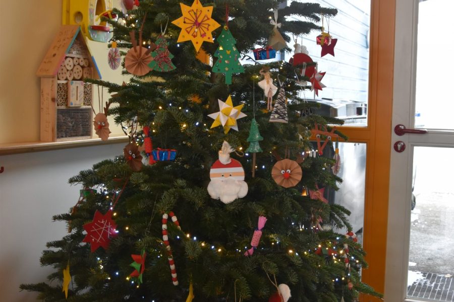 Weihnachten - Weihnachtsbaum