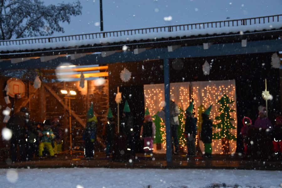 Winter - Schnee