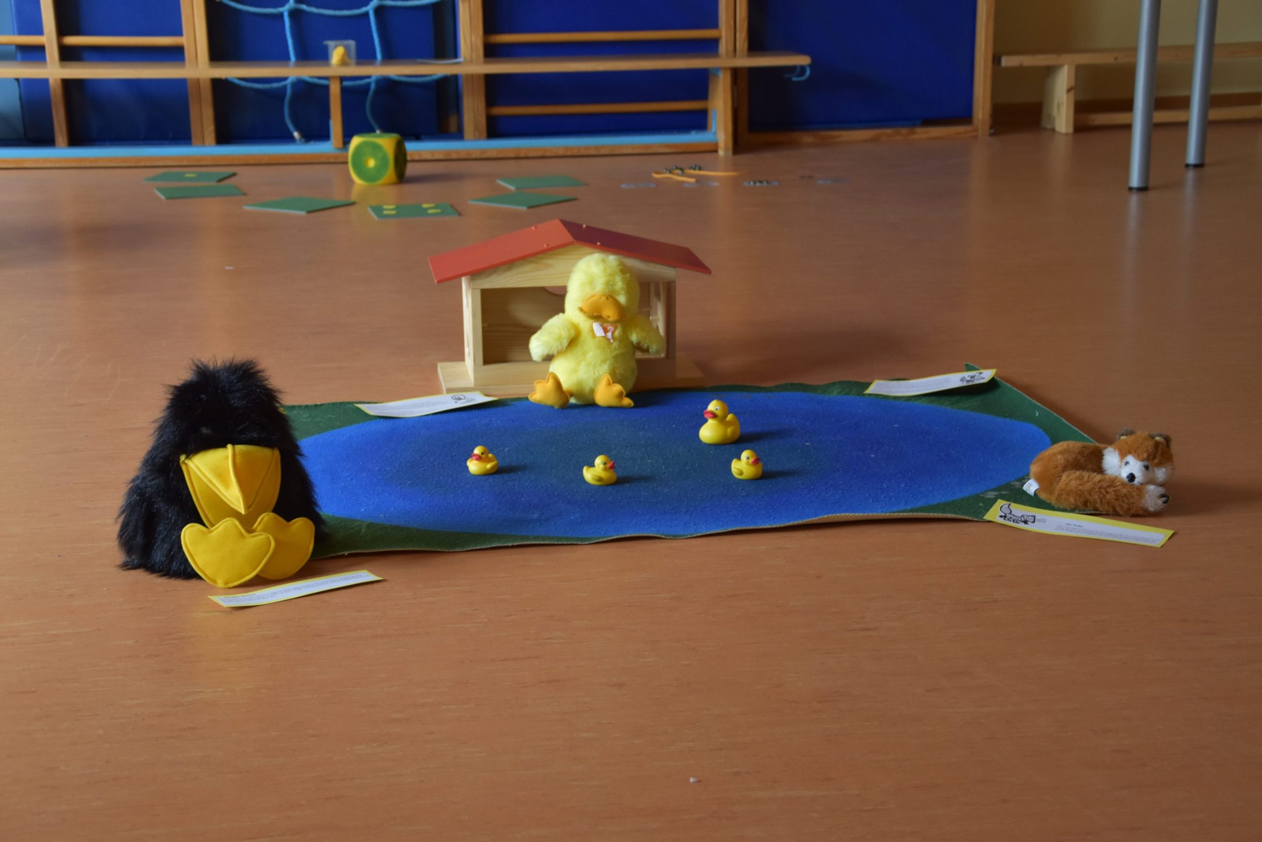 Informationsnachmittag – Entenland