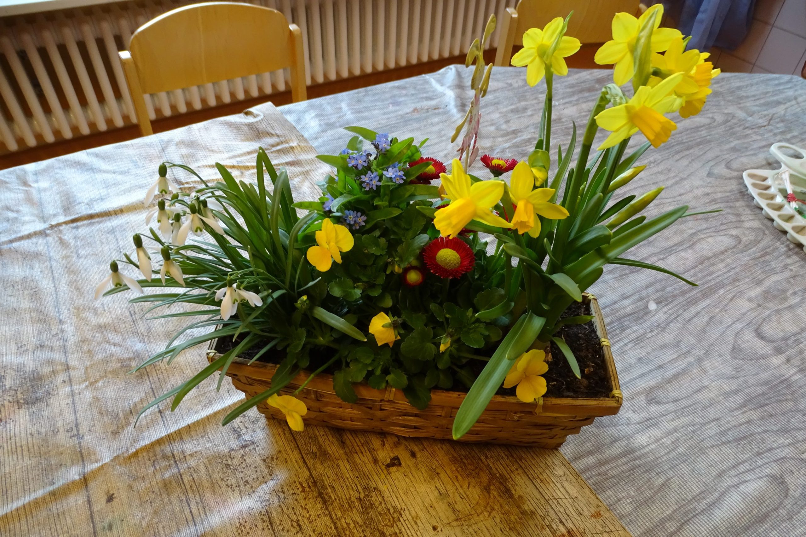 immer wieder kommt ein neuer Frühling,…