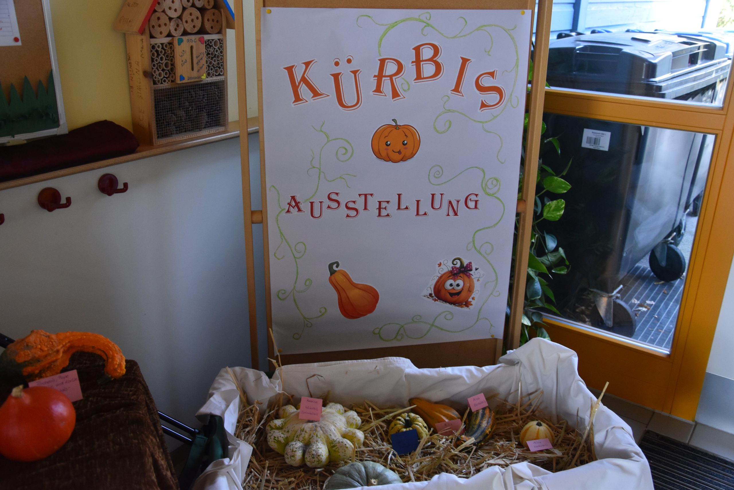 Unsere Kürbisausstellung ist eröffnet!